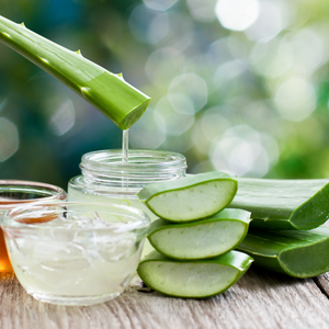 Looking for a Gentle Hydration Boost? Aloe Vera Could Help