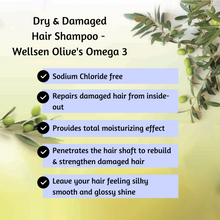 Buy 1 Free1 Dry & Damaged Hair Shampoo - Wellsen Olive's Omega 3 375ml