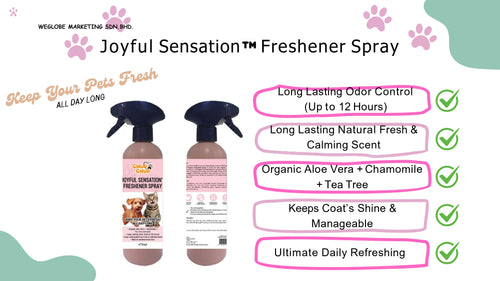 Chup Chup Joyful Sensation Freshener Spray