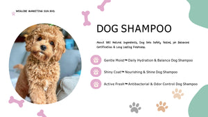 Chup Chup Gentle Moist Daily Hydration & Balance Dog Shampoo