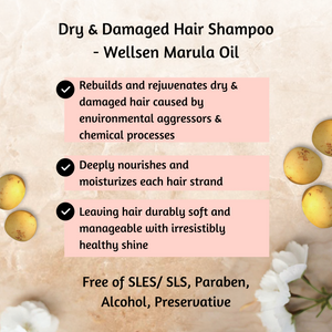 Bundle Set-Nutri Styling Curl Booster 220ml and Dry & Damaged Hair Shampoo - Wellsen Marula Oil 325ml