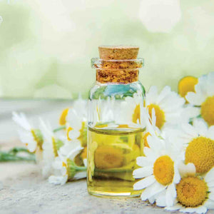 Flower and a glass with organic chamomile, an powerful anti dandruff properties, active ingredient in Wellsen hair growth series