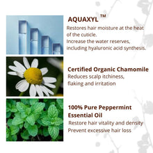 Wellsen Dynas Cooling and Refreshing Shampoo + FREE Hair Mask 100ml +FREE Hair Serum 10ml