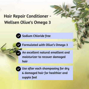 Hair Repair Conditioner - Wellsen Olive's Omega  3
