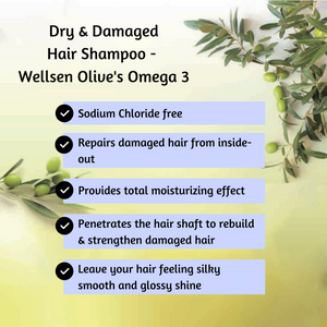Dry & Damaged Hair Shampoo - Wellsen Olive's Omega 3